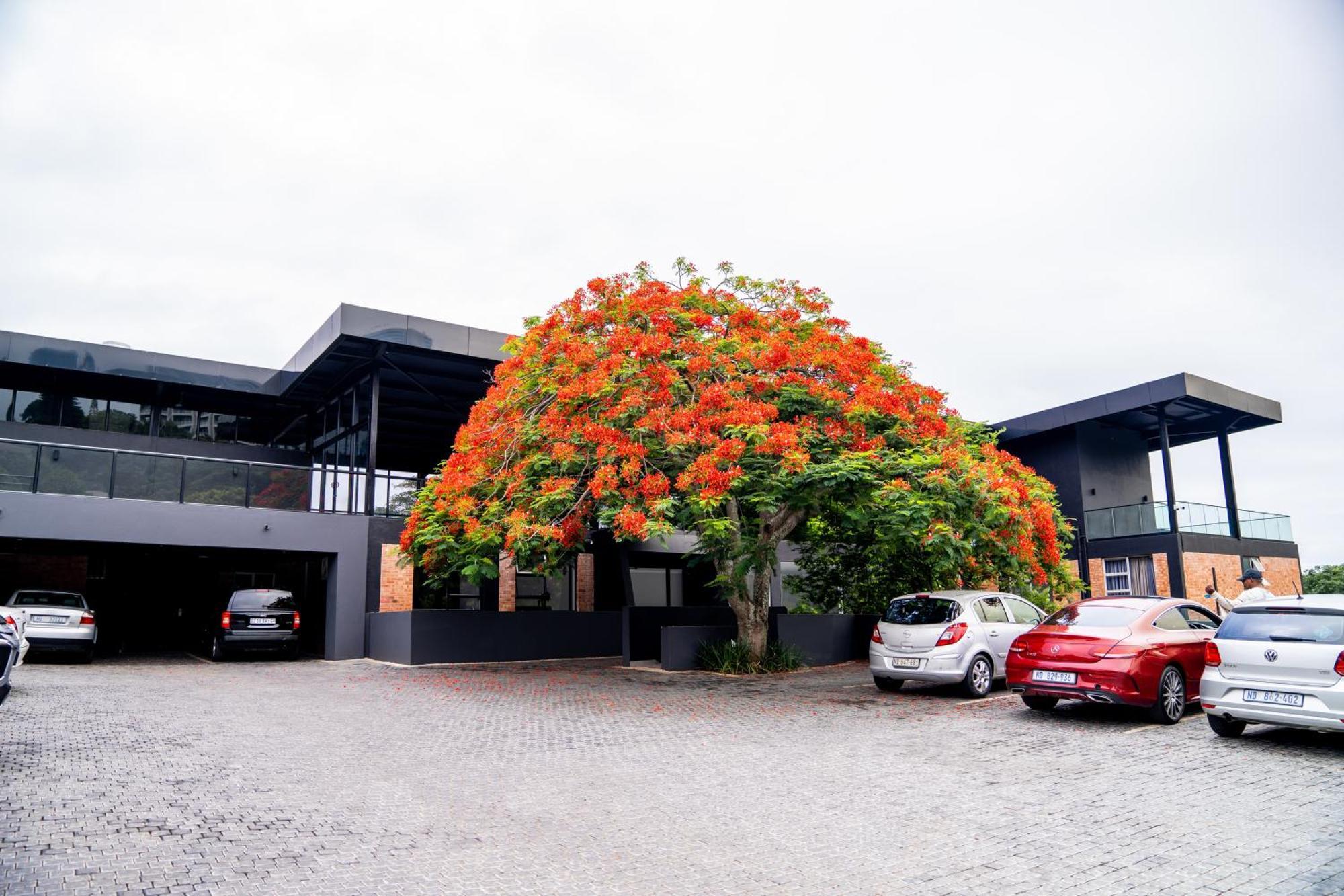 Zar Hotel Amanzimtoti Exterior photo